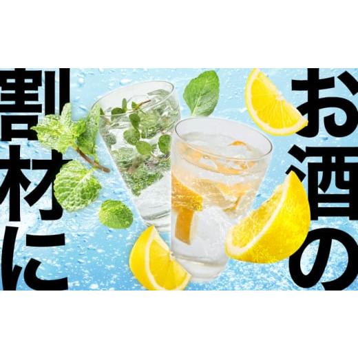 ふるさと納税 炭酸飲料 ソーダ水 大分県 日田市  全2回定期便 龍馬POWER SODA 500ml×24本 計48本 日田市 ／ 日本ビール株式会社 炭酸水 水 飲料水 みず ARER0…_5