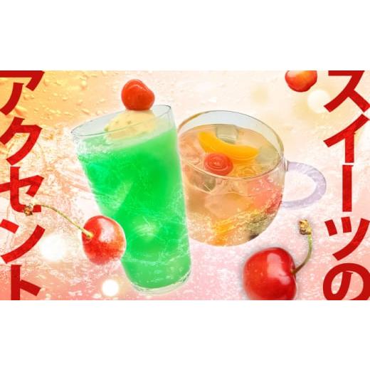 ふるさと納税 炭酸飲料 ソーダ水 大分県 日田市  全2回定期便 龍馬POWER SODA 500ml×24本 計48本 日田市 ／ 日本ビール株式会社 炭酸水 水 飲料水 みず ARER0…_6