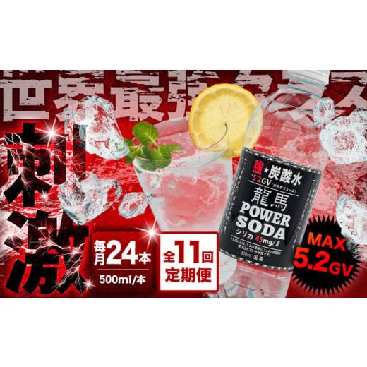 ふるさと納税 炭酸飲料 ソーダ水 大分県 日田市 全11回定期便 龍馬POWER SODA 500ml×24本 計264本 日田市 / 日本ビール株式会社 炭酸水 水 飲料水 みず ARE…