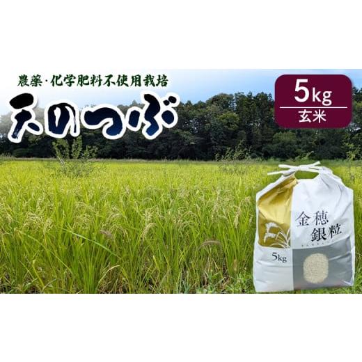ふるさと納税 米 福島県 南相馬市 先行予約 天のつぶ 玄米5kg 令和7年産 | 無農薬 農薬不使用 化学肥料不使用 お米 米 福島産 福島県産 南相馬 みさき未来