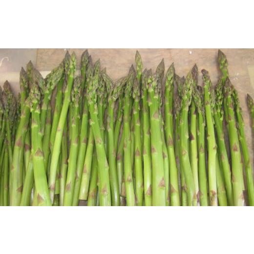 ふるさと納税 野菜類 アスパラガス 北海道 赤井川村 1. 不揃いグリーン3kg 新見ファームの有機アスパラ:配送5月中旬〜 1. 不揃いグリーン3kg 新見ファ…