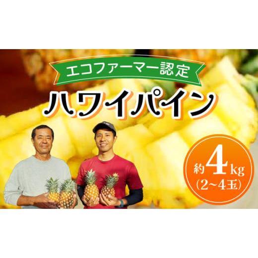 ふるさと納税 果物の詰合せ 沖縄県 竹富町 [2026年先行予約]ハワイパイン約4kg お届け:2026年6月中旬〜7月下旬 農園ファイミール 完熟 果物 フルーツ パイ…