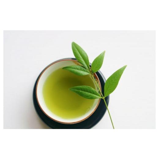 ふるさと納税 お茶類 緑茶（茶葉・ティーバッグ） 福岡県 大任町 定期便3回 八女茶　煎茶セット　100g×2袋_3
