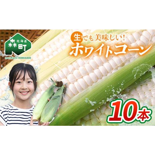 ふるさと納税 とうもろこし 北海道 森町 先行予約 10本 白い とうもろこし ホワイトコーン L〜2L(2026年7月下旬〜9月中旬までに順次お届け) 北海道産 森町…