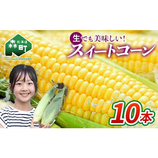 ふるさと納税 とうもろこし 北海道 森町 先行予約 北海道森町産スイートコーン(イエロー)10本(2026年7月上旬〜9月中旬頃に順次お届け) とうもろこし トウ…