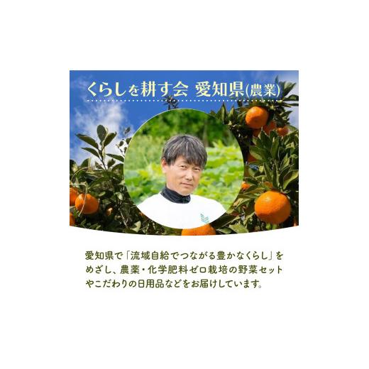 ふるさと納税 果汁飲料 みかん 愛知県 南知多町 果汁100％ みかんジュース 180ml × 30本 無農薬 無添加 濃厚 みかん ジュース 炭酸 清涼飲料水 夏 蜜柑 炭酸…の画像