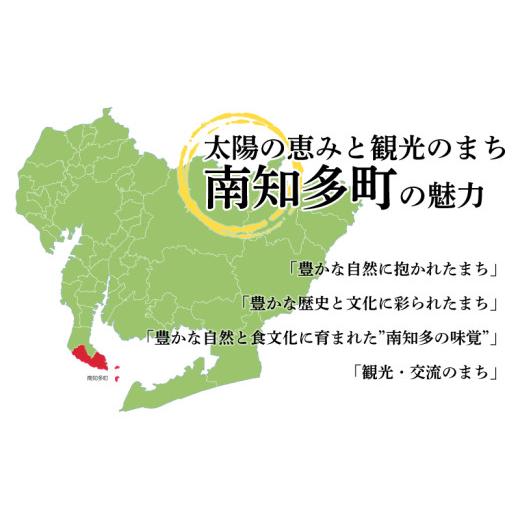 ふるさと納税 果汁飲料 みかん 愛知県 南知多町 果汁100％ みかんジュース 180ml × 30本 無農薬 無添加 濃厚 みかん ジュース 炭酸 清涼飲料水 夏 蜜柑 炭酸…の画像