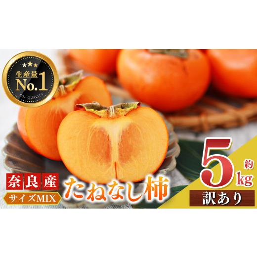 ふるさと納税 果物類 柿 奈良県 五條市 たねなし 柿 訳あり サイズ MIX 約 5kg | フルーツ くだもの 果物 柿 かき カキ タネなし 種なし 奈良県 五條市 果実 9…