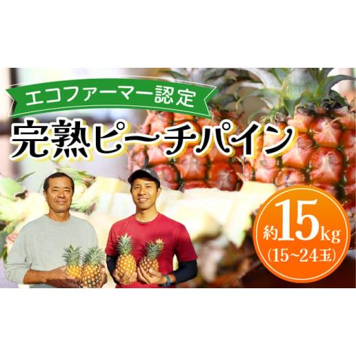 ふるさと納税 果物類 沖縄県 竹富町 [2026年 先行予約]ピーチパイン 約15kg 15〜24玉 農園ファイミール 完熟 果物 フルーツ 約15kg(15〜24玉入り)