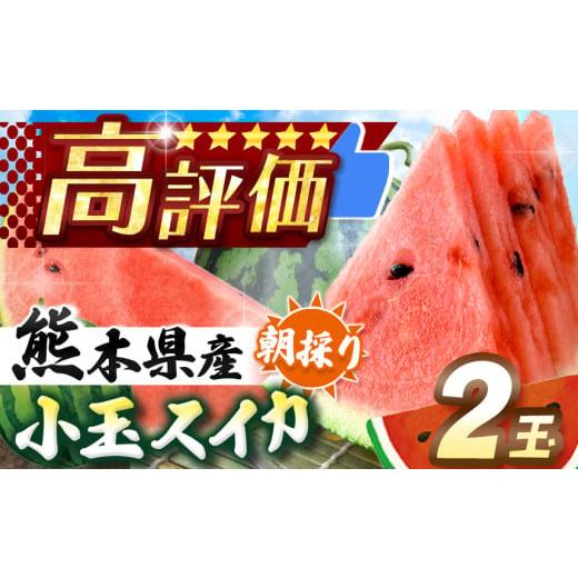 ふるさと納税 スイカ 熊本県 和水町 先行予約 小玉スイカ(赤色)2玉 熊本県和水町産 2026年(令和8年)4月中旬〜6月頃まで順次発送 | 熊本県 熊本 くまもと …