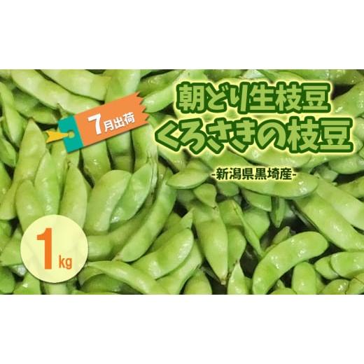 ふるさと納税 豆類 枝豆 新潟県 新潟市 6月末〜7月くろさきの枝豆1kg 新潟県黒埼産 朝どり生枝豆