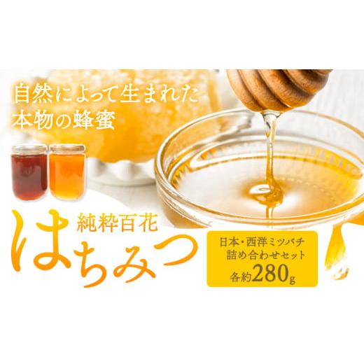 ふるさと納税 加工品等 はちみつ 岡山県 矢掛町 純粋百花 はちみつ 日本ミツバチ 西洋ミツバチ 有限会社ホクト 《30日以内に出荷予定(土日祝除く)》岡山県 矢…_1