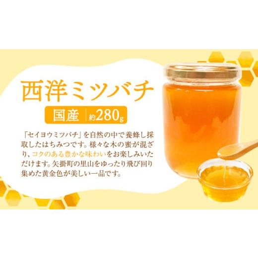 ふるさと納税 加工品等 はちみつ 岡山県 矢掛町 純粋百花 はちみつ 日本ミツバチ 西洋ミツバチ 有限会社ホクト 《30日以内に出荷予定(土日祝除く)》岡山県 矢…_4