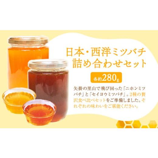 ふるさと納税 加工品等 はちみつ 岡山県 矢掛町 純粋百花 はちみつ 日本ミツバチ 西洋ミツバチ 有限会社ホクト 《30日以内に出荷予定(土日祝除く)》岡山県 矢…_5