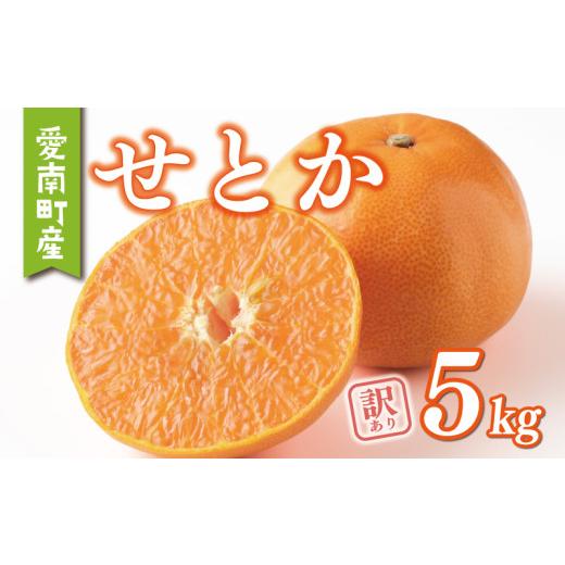 ふるさと納税 みかん・柑橘類 愛媛県 愛南町 訳あり せとか 5kg みかん 家庭用 サイズミックス 15000円 高級 人気 ブランド プレミアム 柑橘 果物 フルーツ 数…