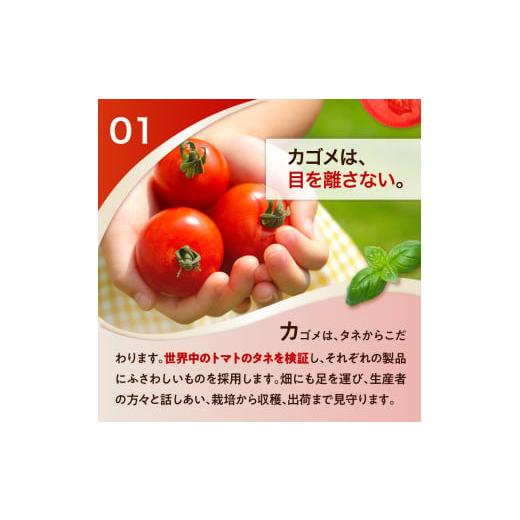 ふるさと納税 野菜類 ジュース 栃木県 那須塩原市  定期便3ヵ月 カゴメトマトジュース 食塩無添加 720ml 15本 ns111-017 KAGOME 野菜ジュース ペットボトルの画像
