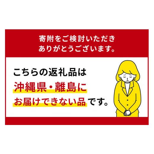 ふるさと納税 野菜類 ジュース 栃木県 那須塩原市  定期便3ヵ月 カゴメトマトジュース 食塩無添加 720ml 15本 ns111-017 KAGOME 野菜ジュース ペットボトルの画像