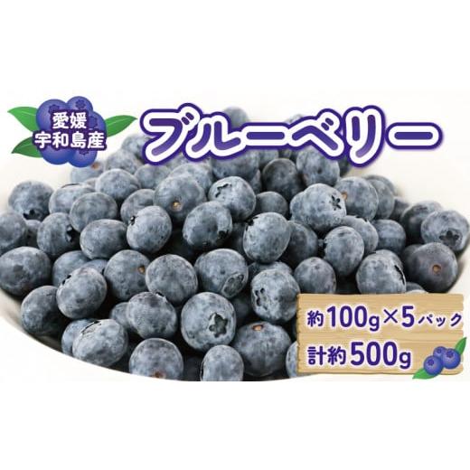 ふるさと納税 果物類 愛媛県 宇和島市 ブルーベリー 大粒 500g マスタニ農園 ハウス栽培 生ブルーベリー 美味しい 100g×5パック 小分け パック 生 ベリー 果…