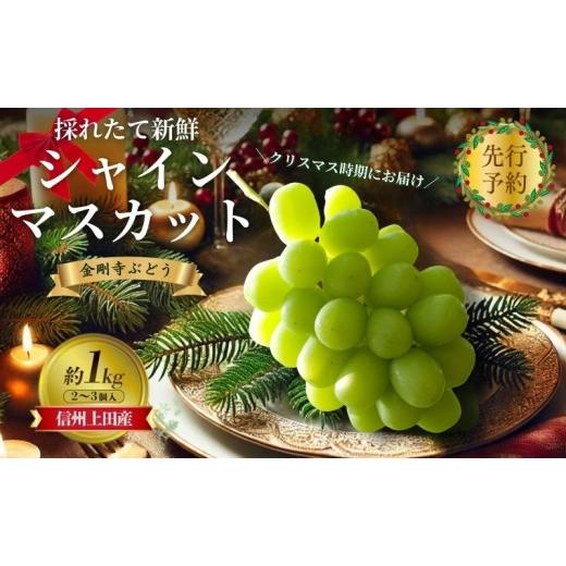 ふるさと納税 ぶどう マスカット 長野県 上田市 2026年先行予約 クリスマスにお届け シャインマスカット 信州上田産金剛寺ぶどう 約1kg 2〜3房 ぶどう 葡萄 …