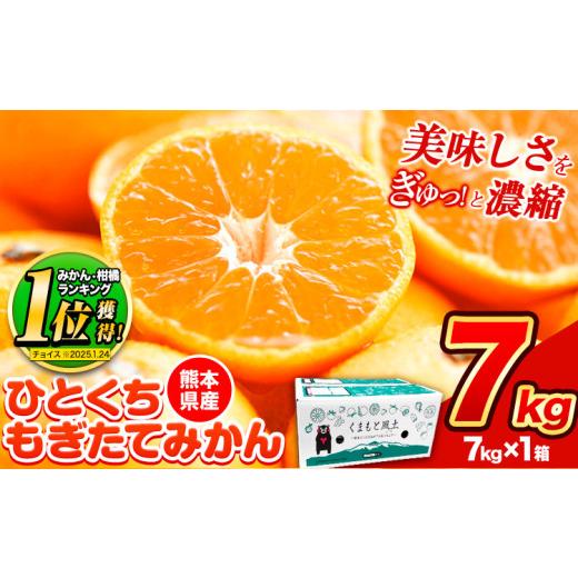 ふるさと納税 果物類 みかん 熊本県 荒尾市 訳あり みかん ひとくちもぎたてみかん 約 7kg (7kg×1箱) S-3Sサイズ 訳あり ご家庭用 熊本県産 (荒尾市産含む)…