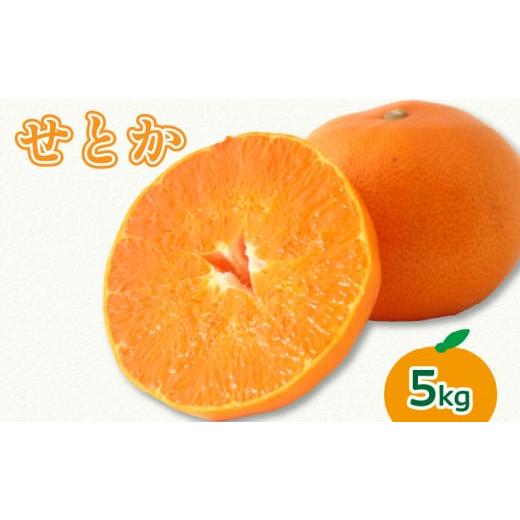 ふるさと納税 果物類 みかん 愛媛県 松山市 2026年3月上旬より発送 せとか 5kg 5kg ¥22,000