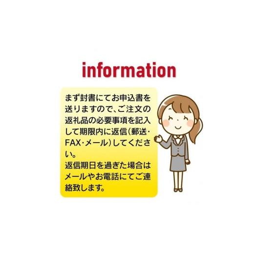 ふるさと納税 家具 収納家具 福岡県 大川市 大川家具 シューズボックス 光林900L 幅90cm 靴箱 収納の画像