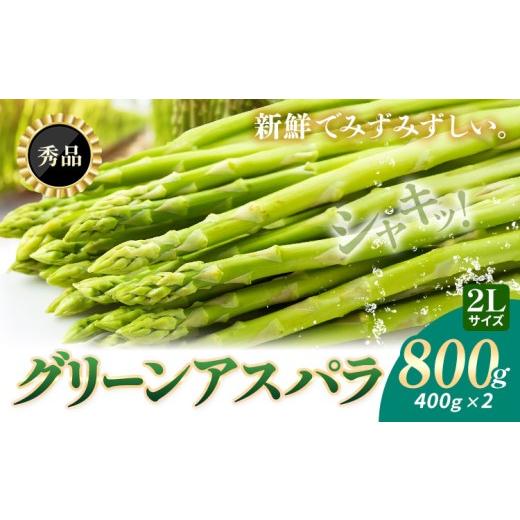 ふるさと納税 野菜類 アスパラガス 北海道 日高町 秀品/2Lサイズ 朝採り グリーンアスパラ 2L サイズ 800g (400g×2) 北海道日高産 JA門別町 産地直送 期間…