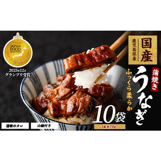 ふるさと納税 うなぎ 鹿児島県 指宿市 鹿児島県産 うなぎ蒲焼じっくり焼き きざみ約70g×10袋 化粧箱入り(大新/IB021-005) 鰻 ウナギ 蒲焼 国産 丑の日 うな…