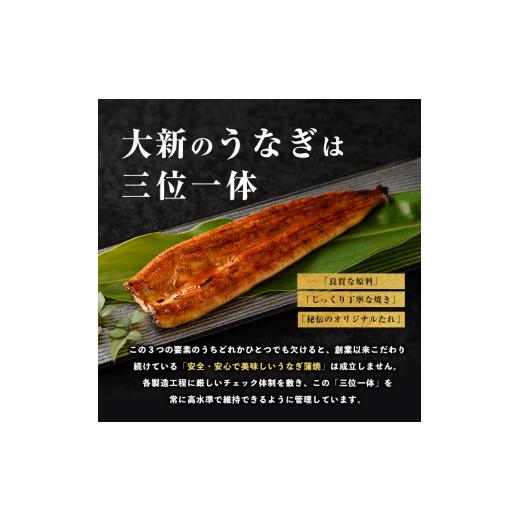 ふるさと納税 うなぎ 鹿児島県 指宿市 鹿児島県産 うなぎ蒲焼じっくり 