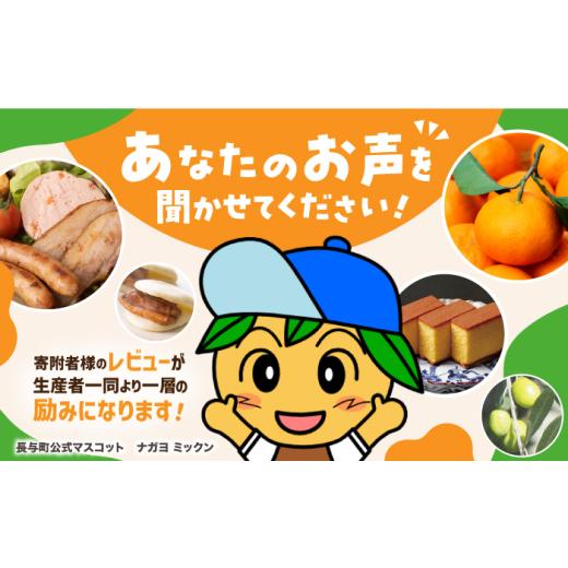 ふるさと納税 惣菜・レトルト 冷凍 長崎県 長与町  12回定期便 簡易包装 角煮まぶし5袋 EAB116 岩崎本舗 岩崎 角煮 かくに まぶし 豚丼 豚どん ぶたどん レト…_6