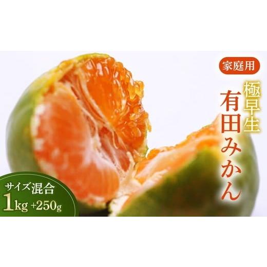 ふるさと納税 果物類 みかん 和歌山県 美浜町 家庭用 極早生有田みかん1kg+250g(傷み補償分) 希少な新品種YN26 菊みかん入り