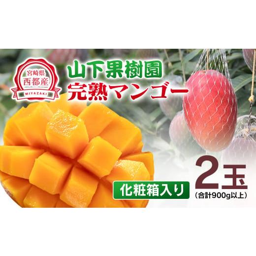 ふるさと納税 マンゴー 宮崎県 西都市 マンゴー専門 山下果樹園 完熟マンゴー 2玉 900g以上 アップルマンゴー 宮崎県西都産 生産者直送 1.8-17 先行予約 2026…
