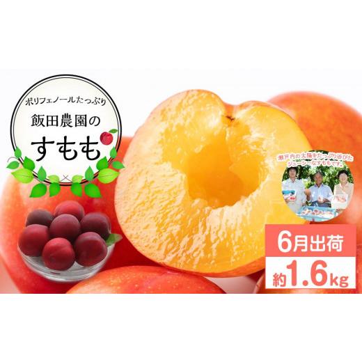 ふるさと納税 もも 香川県 さぬき市  先行予約 飯田桃園のすもも 1.6kg 6月出荷 スモモ 瀬戸内のスモモ 香川 さぬき市の画像