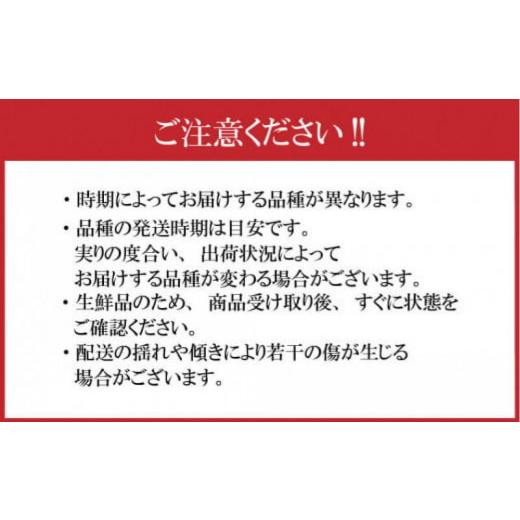 ふるさと納税 もも 香川県 さぬき市  先行予約 飯田桃園のすもも 1.6kg 6月出荷 スモモ 瀬戸内のスモモ 香川 さぬき市の画像