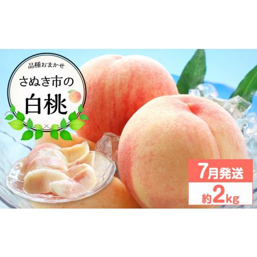 ふるさと納税 もも 香川県 さぬき市 先行予約 さぬき市の白桃 約2kg 7月発送 品種おまかせ 国産 もも 桃 白桃 白鳳 あかつき 清水白桃 なつおとめ 川中島白桃…