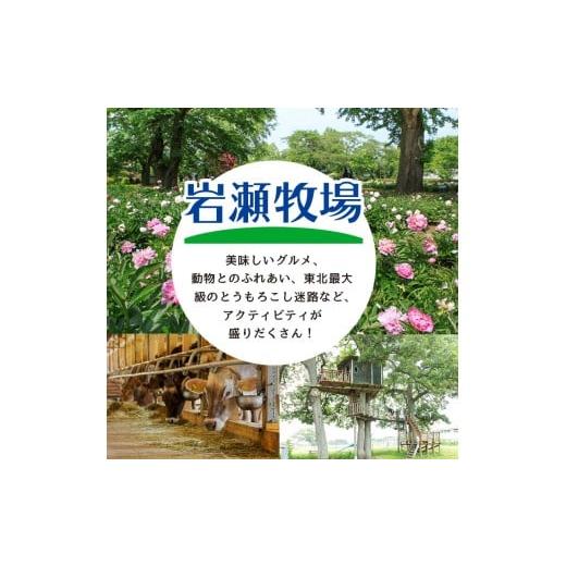 ふるさと納税 アウトドアグッズ 福島県 鏡石町  9月発送 大割サイズ 福島県産「乾燥薪」150kg F6Q-265 9月発送の画像