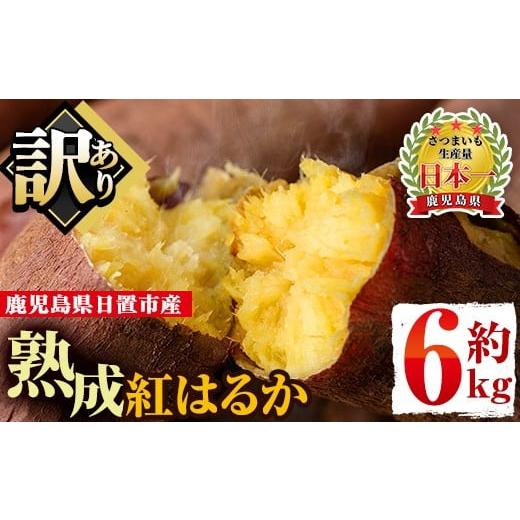ふるさと納税 野菜類 サツマイモ 鹿児島県 日置市 No.560-A 訳あり・不揃い 鹿児島県日置市産さつまいも 熟成紅はるか(約6kg) 国産 九州産 サツマイモ さつま…