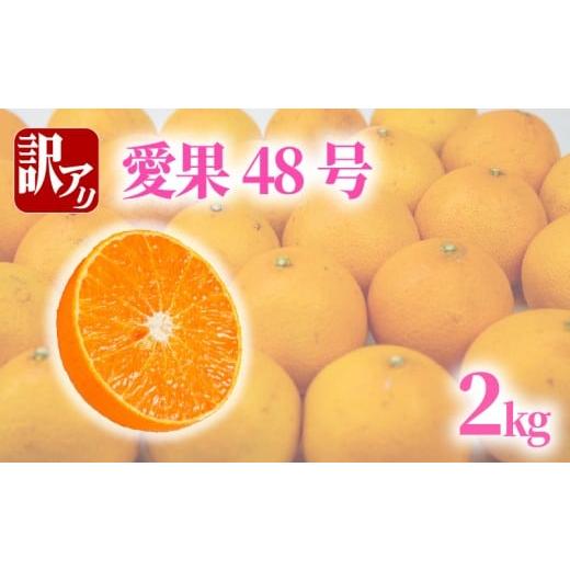 ふるさと納税 みかん・柑橘類 愛媛県 松山市 訳あり 愛果48号 約2kg | ( 紅プリンセス と同品種 ) 蜜柑 あいか48号 愛果 アイカ 柑橘 果物 くだもの フルーツ …