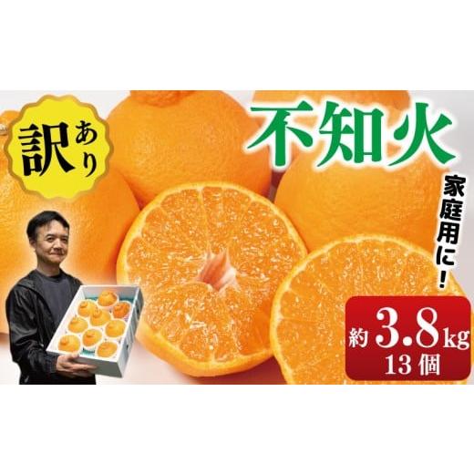 ふるさと納税 みかん・柑橘類 デコポン 徳島県 阿波市 先行予約 訳あり 不知火 約3.8kg 13個入り しらぬい みかん 蜜柑 果物 フルーツ 柑橘 オレンジ ゼリー …