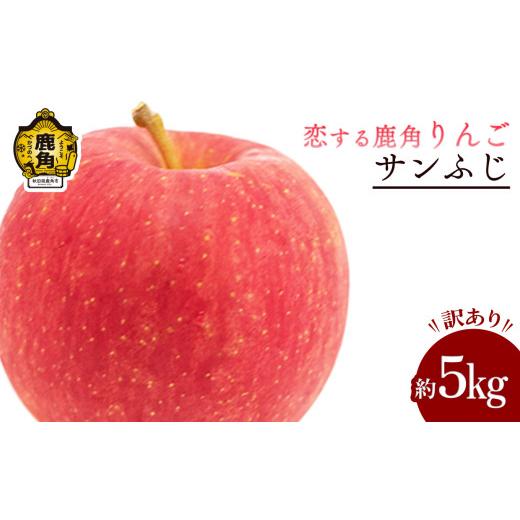 ふるさと納税 りんご 秋田県 鹿角市 [ 先行予約 ] 鹿角 りんご 訳あり「サンふじ」約 5kg 恋する鹿角カンパニー ●2026年12月上旬発送開始 家庭用 かづのり…