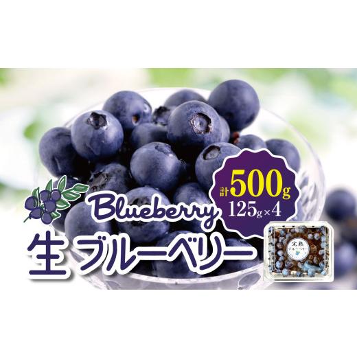 ふるさと納税 果物類 長野県 松本市 生ブルーベリー 500g│信州 生ブルーベリー 新鮮 フルーツ 大きい 甘い 美味しい 特別 松本 ふるさと納税 上高地