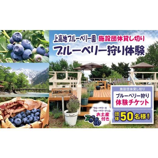 ふるさと納税 果物類 長野県 松本市 上高地ブルーベリー園 施設団体貸し切り、ブルーベリー狩り体験チケット 団体50名様まで(ブルーベリー、ブルーベリジャ…