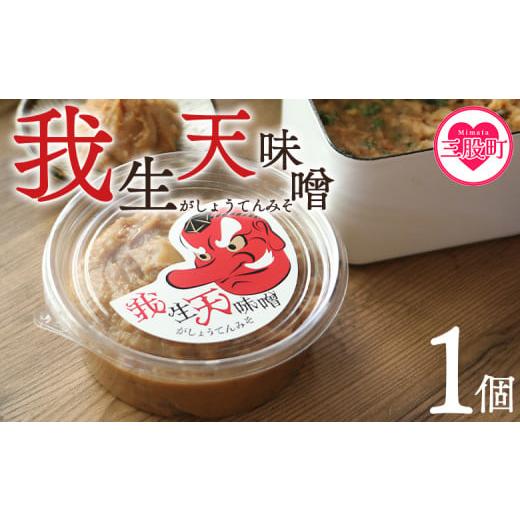 ふるさと納税 味噌 麦味噌 宮崎県 三股町 我生天味噌 1個 300g 選べる 内容量 個数 みそ ミソ 調味料 酵母 どぶろく味噌 ドブロク 米 料理 お味噌汁 パック …