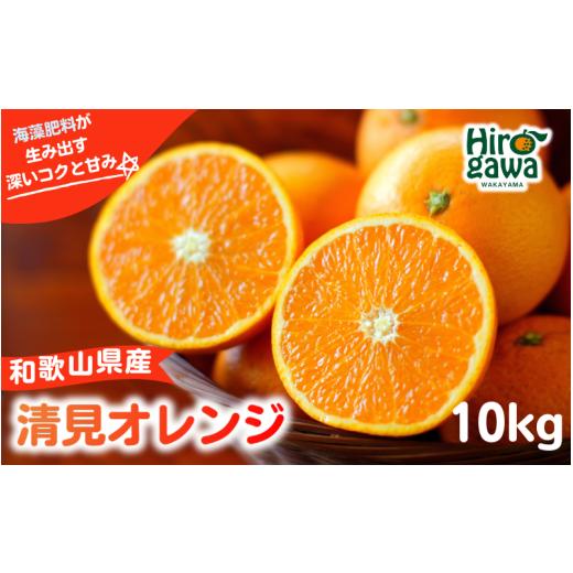 ふるさと納税 みかん・柑橘類 オレンジ 和歌山県 広川町 和歌山県の清見オレンジ 10kg / 清見オレンジ 清見タンゴール きよみ 清美 甘い 完熟 和歌山 柑橘 3…