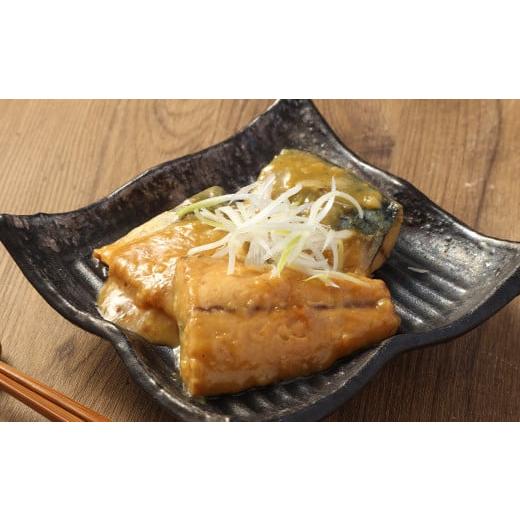 ふるさと納税 魚貝類 熊本県 熊本市  訳あり 無塩鯖切り身 3kg 鯖 サバ 魚 お魚 魚介 切り身 無塩 おかず 時短 冷凍 |  | 03