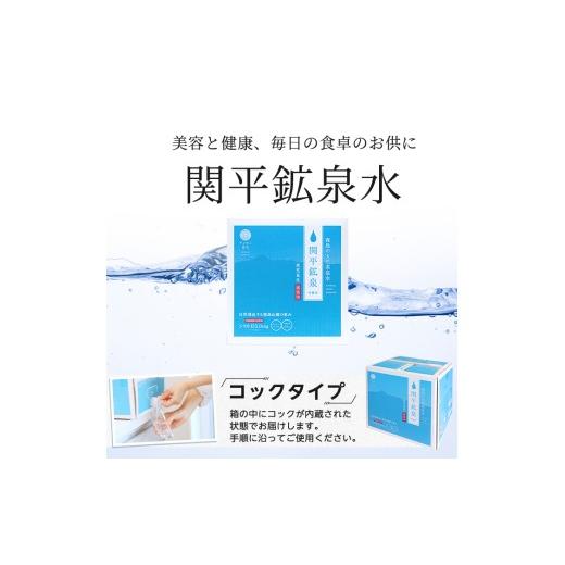 ふるさと納税 水・ミネラルウォーター 鹿児島県 霧島市 K-493 定期便・全6回 関平鉱泉水10L×2箱ずつお届け(計12箱) 関平鉱泉所 霧島市 シリカ シリカ水 水 シ…_4