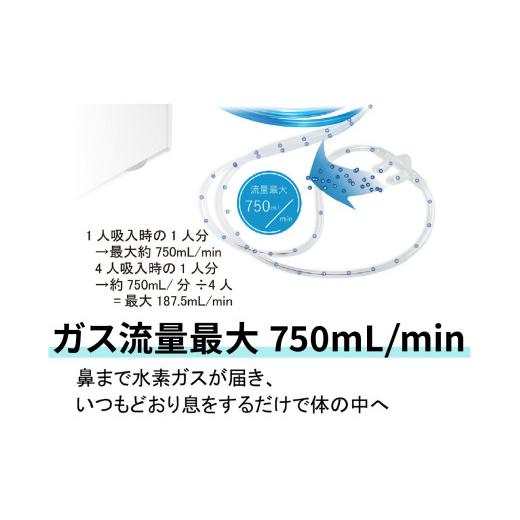ふるさと納税 電化製品 栃木県 矢板市 吸入用水素ガス生成器「Vital Share (バイタルシェア)」1台 家庭向け 標準仕様｜日省エンジニアリング AWH-008の画像