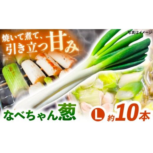 ふるさと納税 野菜類 ねぎ 島根県 雲南市 先行予約 2026年11月発送開始 ねぎ 焼いてそのまま美味しい なべちゃん葱 秀品 Lサイズ2.5kg 約10本 ねぎ ネギ 野菜…