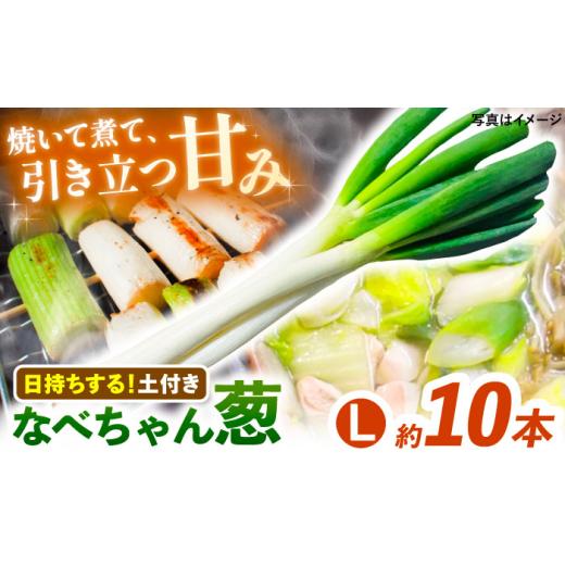 ふるさと納税 野菜類 ねぎ 島根県 雲南市 先行予約 2026年11月発送開始 ねぎ 焼いてそのまま美味しい なべちゃん葱(土付き) 秀品 Lサイズ2.5kg 約10本 ねぎ …