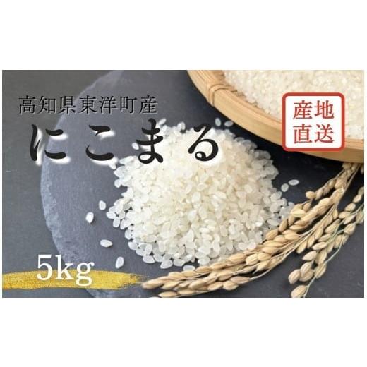 ふるさと納税 米 にこまる 高知県 東洋町 S249-1 2025年10月発送 令和7年産にこまる 5kg 国産 米 新米 お米 高知県産 令和7年産 にこまる 5kg